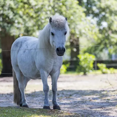 Vieux Chene בית נופש *