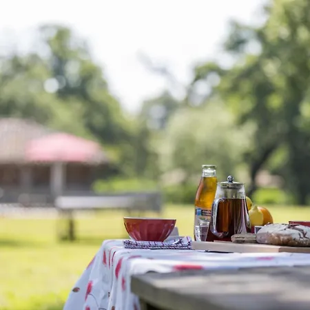 Vieux Chene בית נופש Sabres